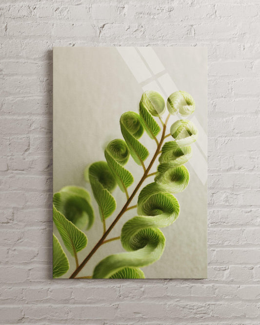 Tempered Glass Art - Minimalist Botanical Wall Art Featuring Fern Leaf Artwork